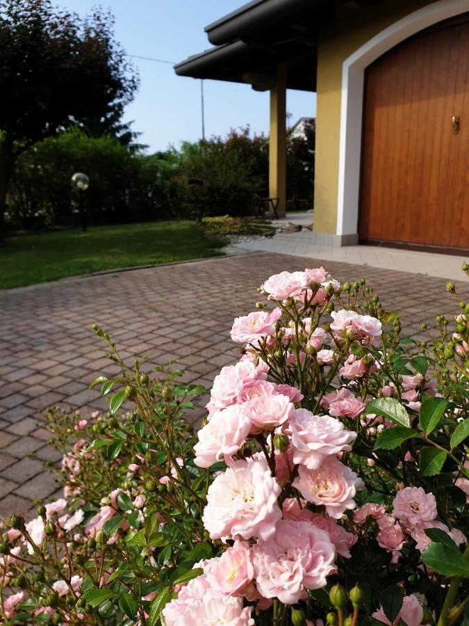 Staranzano Residence Stradella Verde מראה חיצוני תמונה